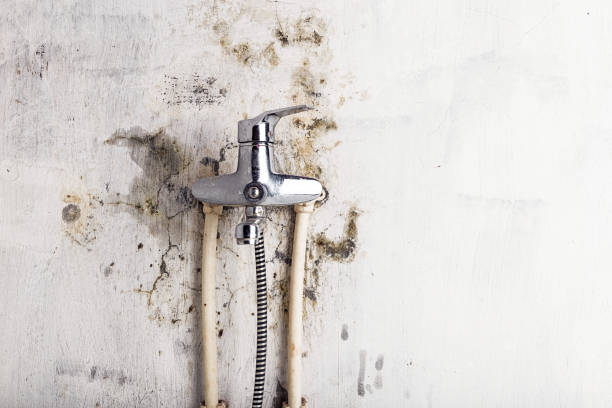 Best Emergency Mold Removal  in Strum, WI
