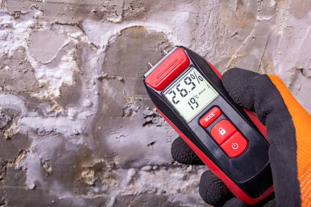 Best Residential Mold Removal  in Strum, WI