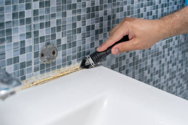 Mold Removal Process in Strum, WI
