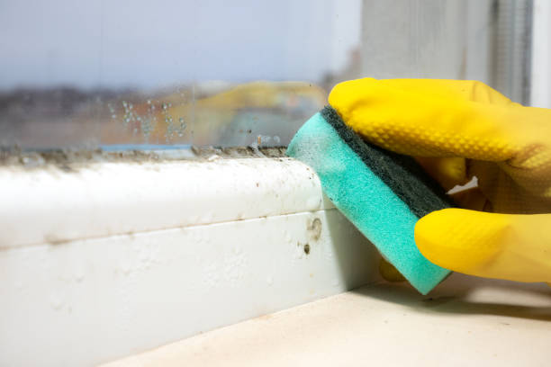 Best Mold Cleaning Services  in Strum, WI