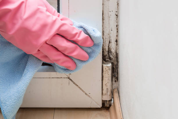 Best Crawl Space Mold Removal  in Strum, WI